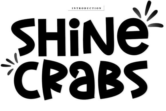 The Strategic Edge of Shine Crabs: Crafting Visual Identity with Intentional Typography