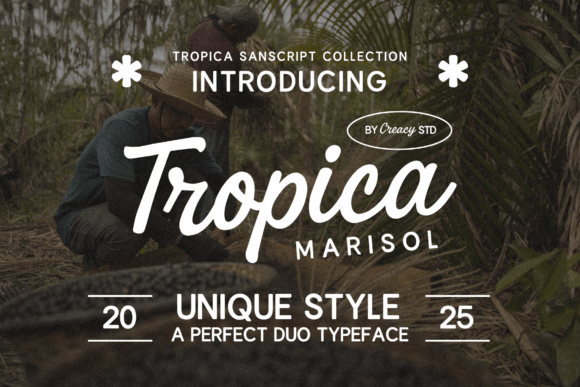 Tropica Marisol Duo: A Comprehensive Evaluation for Modern Branding